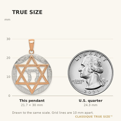 14K Rose Gold w/Rhodium Polished Star of David w/Chai Pendant