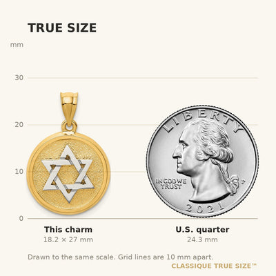 14K Two-tone Solid Satin Finish Flat Back Star of David Disc Charm