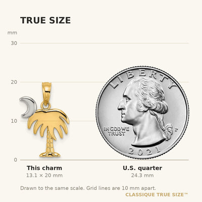 14K w/ Rhodium Charleston Palm Tree Charm