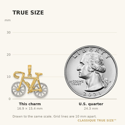 14K Two-tone 3-D Ten Speed Bicycle Charm