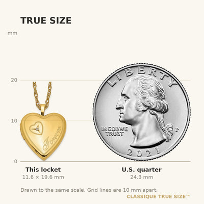 1/20 Gold Filled Diamond Forever Heart Locket Necklace