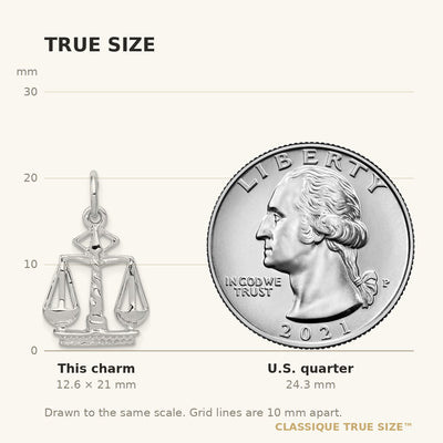 14K White Gold Flat-Backed Scales of Justice Charm