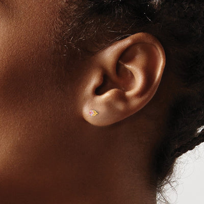 Inverness Stainless Steel 24K Gold-plated Pink CZ Post Earrings