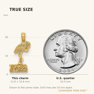 14K TURKS AND CAICOS Flamingo Charm
