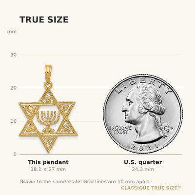 14K Star of David w/Menorah Pendant