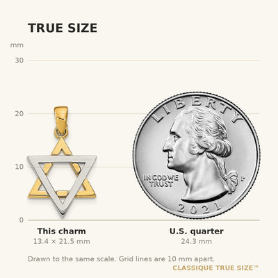 14K Two-Tone Star Of David Charm