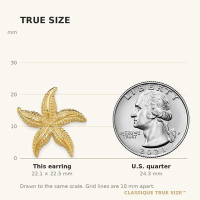 14K 2-D Polished and Textured Starfish Post Earrings