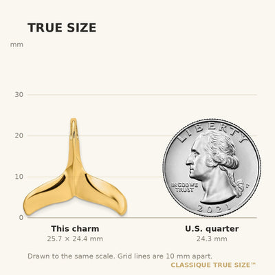 14K 3-D Polished/Textured Whale Tail Charm