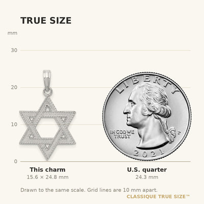 14K White Gold Engraved Star Of David Charm