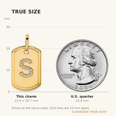 14K Diamond Initial S Dog Tag Charm