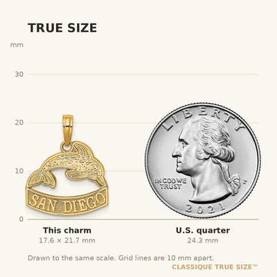 14K SAN DIEGO Banner Dolphins Charm