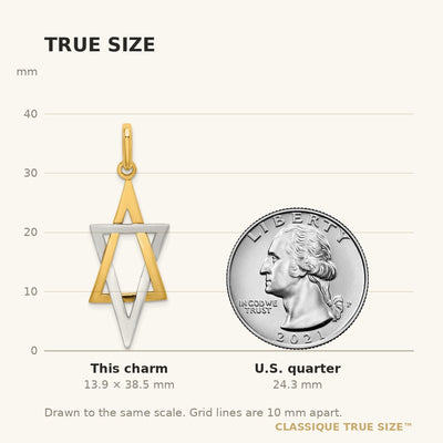 14K W/ Rhodium Elongated Jewish Star Of David Charm