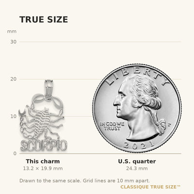 14K WG SCORPIO Zodiac Charm