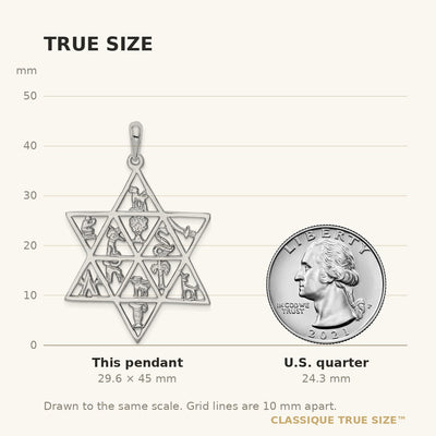 14K White Gold 12 Tribes Star of David Pendant