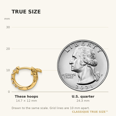 14K . Round Hoop w/ Safety Clasp Diamond Earrings