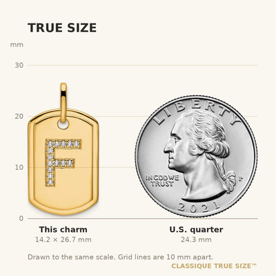 14K Diamond Initial F Dog Tag Charm