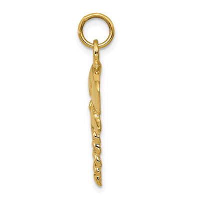 14K Nurse Symbol Charm