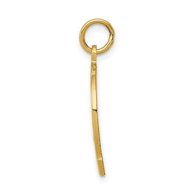 14K Horseshoe Good Luck Charm