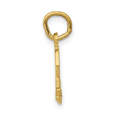 14K Tiger Charm, 19 x 25mm