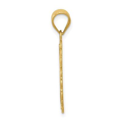 14K Solid Satin Polished Leo Zodiac Oval Pendant