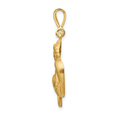14K Satin Diamond-cut Capricorn Zodiac Charm, 30 x 20mm