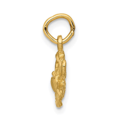 14K Satin Diamond-cut Cancer Zodiac Charm, 17 x 11mm