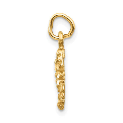 14K Satin Diamond-cut Scorpio Zodiac Charm, 19 x 10mm