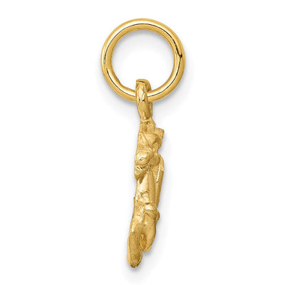 14K Satin Diamond-cut Capricorn Zodiac Charm, 18 x 9mm