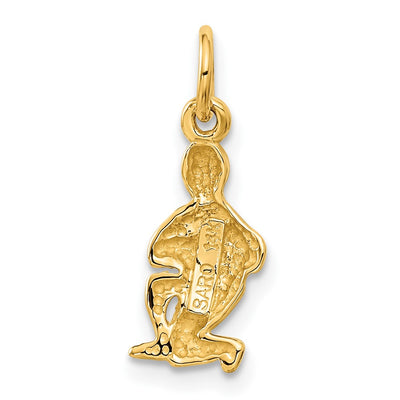 14K Satin Diamond-cut Aquarius Zodiac Charm, 20 x 8mm