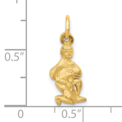 14K Satin Diamond-cut Aquarius Zodiac Charm, 20 x 8mm