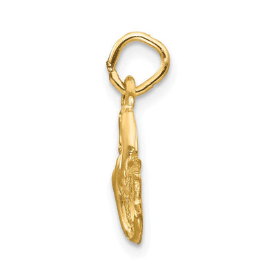 14K Satin Diamond-cut Pisces Zodiac Charm, 17 x 8mm