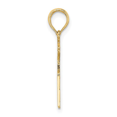 14K Registered Nurse Charm