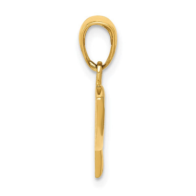 14K Ichthus Fish Pendant, 16 x 22mm