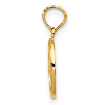 14K Polished Small Fleur De Lis in Oval Pendant