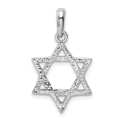 14K White Gold Star Of David Pendant, 24 x 15mm