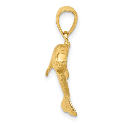 14K Jumping Dolphin Pendant, 25 x 25mm