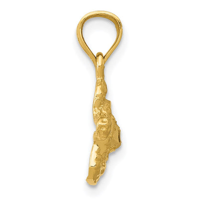 14K Turtle Pendant, 17 x 13mm