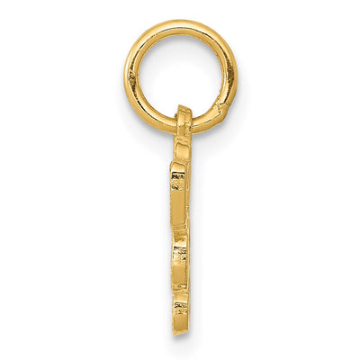 14K Saint Bernard Charm