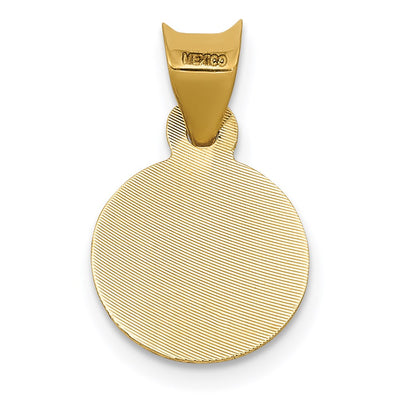14K w/Rhodium Polished D/C Lady Of Guadalupe Circle Pendant, 17.4 x 11mm