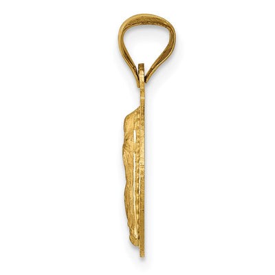 14K w/Rhodium Polished D/C Lady Of Guadalupe Circle Pendant, 19.3 x 13.5mm