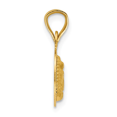 14K Polished D/C Lady Of Guadalupe Circle Pendant, 10.45 x 10.45mm