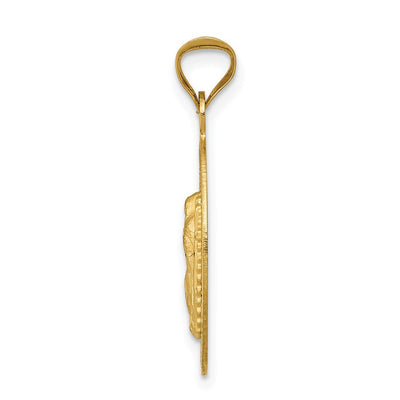 14K w/Rhodium D/C Lady Of Guadalupe Oval Pendant, 26.7 x 13mm