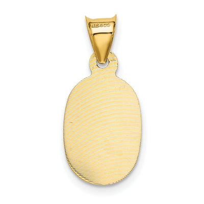 14K Polished D/C Lady Of Guadalupe Oval Pendant, 17 x 9.5mm
