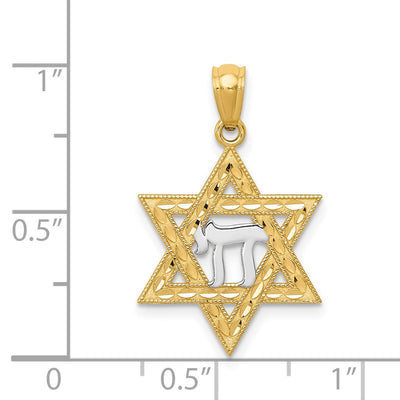 14K w/Rhodium Star of David w/Chai Pendant