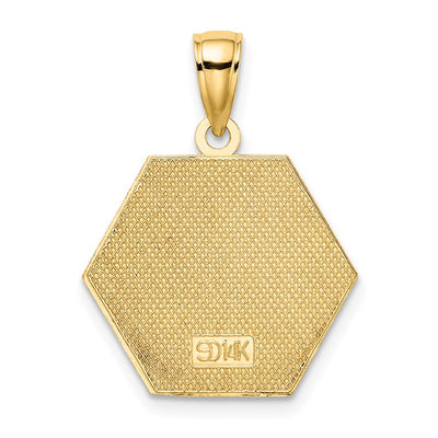 14K Enameled Textured Back Caduceus Medical Disc