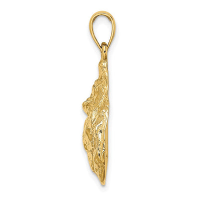 14K Textured and Polished Oyster Shell Charm, 27 x 16.3mm