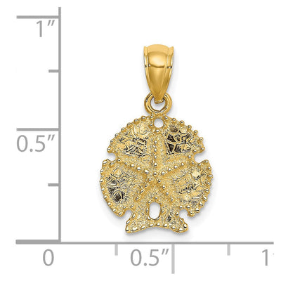 14K Starfish on Sand Dollar Charm, 20 x 13.5mm