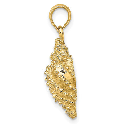 14K Textured Conch Shell Charm, 29 x 12.9mm