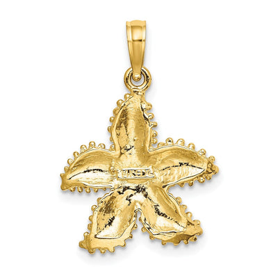 14K Textured Starfish Charm, 24 x 12mm