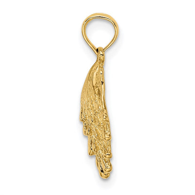 14K Lions Paw Shell Charm, 19 x 13mm